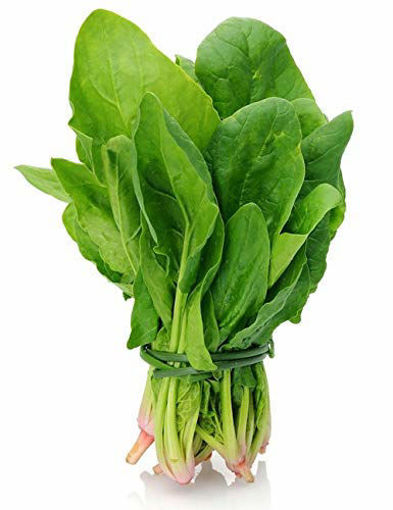 Picture of Spinach