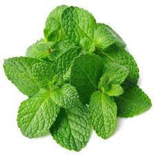 Picture of Mint leaves (Pudina ila)