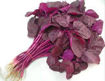Picture of Red spinach (cheera), bunch