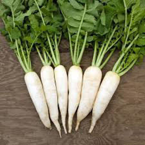 Picture of Radish