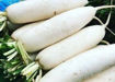 Picture of Radish
