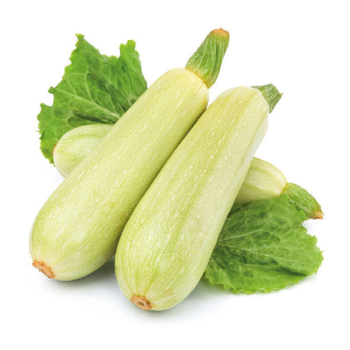 Picture of Koosa (Marrow)