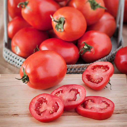 Picture of Tomato / Thakkali 500gms