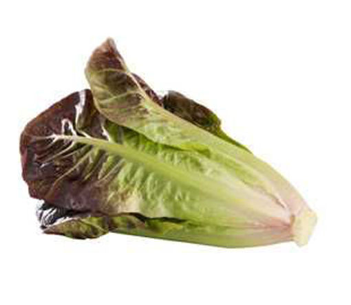 Picture of Red Cos