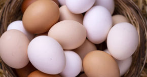 Picture for category Eggs