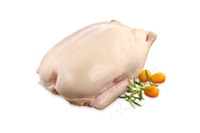 Picture for category Frozen Duck