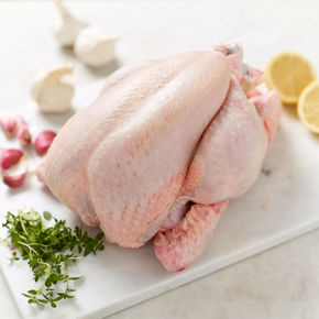 Picture for category Frozen Chicken
