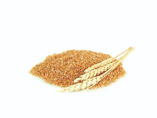 Picture of Kuthiya Gothamb/ Polished Wheat, 500gm