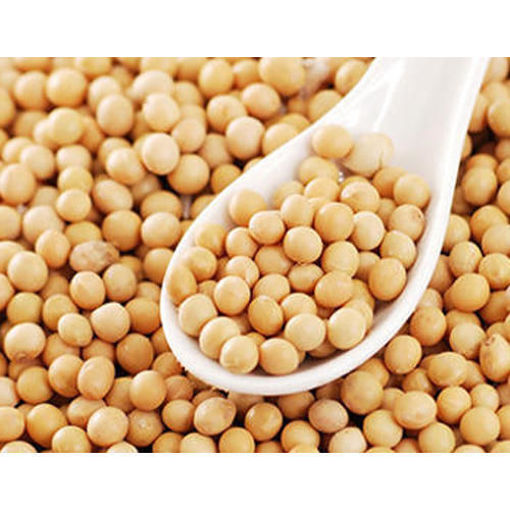 Picture of Soya Bean, 500gm