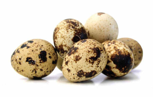 Picture of Quail Egg / Kaada Mutta Set of 10