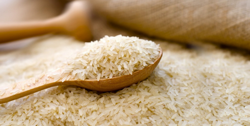 Picture of Bodhana Rice (Noorjahan) 1 kg