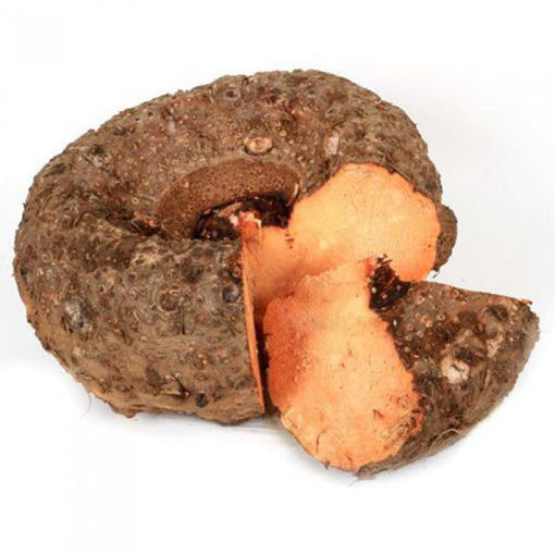 Picture of Chena / Elephant Foot Yam / Suran