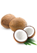 Picture of Coconut / Naadan Tenga 1 Whole