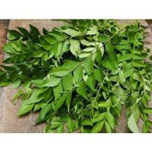 Picture of Curry leaves (Kariveppila)