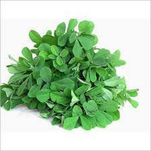 Picture of Fenugreek leaves (Uluva ila or Methi leaves)