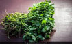 Picture of Fenugreek leaves (Uluva ila or Methi leaves)