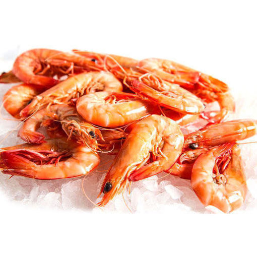 Picture of Fresh Prawns / Chemmeen 1 Kg