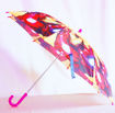 Picture of Hand Made Kids Umbrella