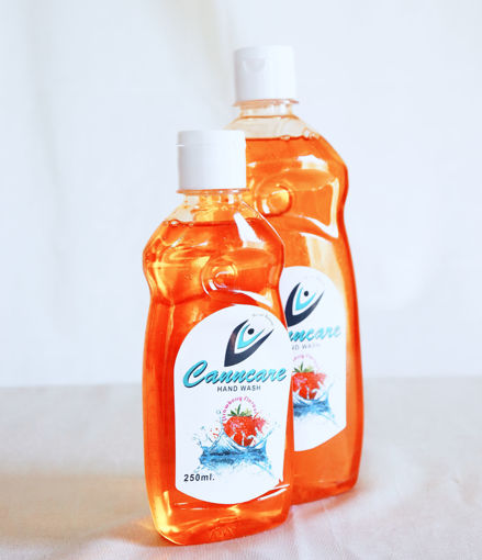 Picture of Hand Wash (With Dispenser)
