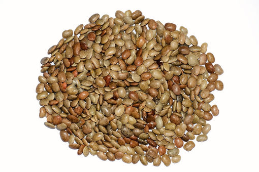 Picture of Horse Gram (Mudhira)