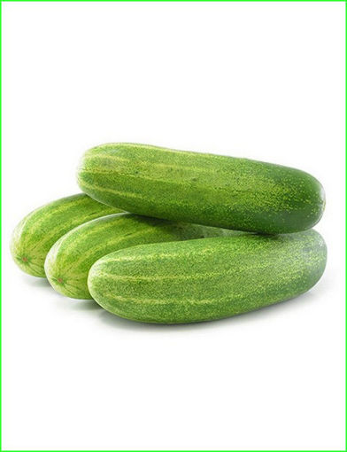 Picture of Cucumber / Kakkiri, 500 gms