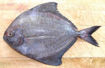 Picture of Avoli/Pomfret, 1kg