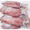 Picture of Squid/Koonthal, 1kg