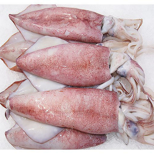 Picture of Squid/Koonthal, 1kg