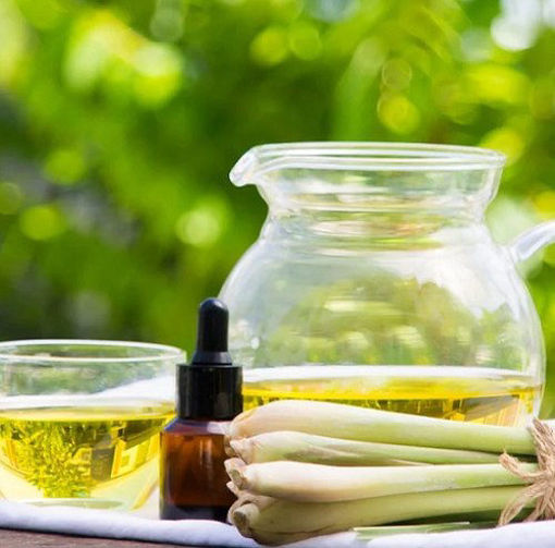 Picture of Lemon Grass Oil / Pullthailam 30 Ml
