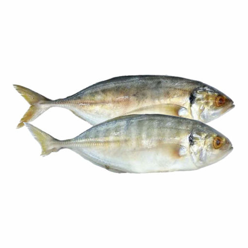 Picture of Adav, 1kg